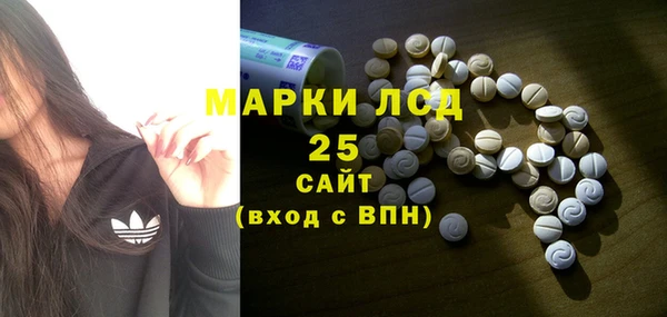 Альфа ПВП Горняк