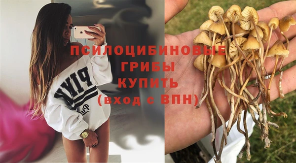 кокаин Горнозаводск