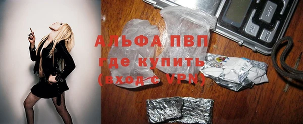 Альфа ПВП Горняк